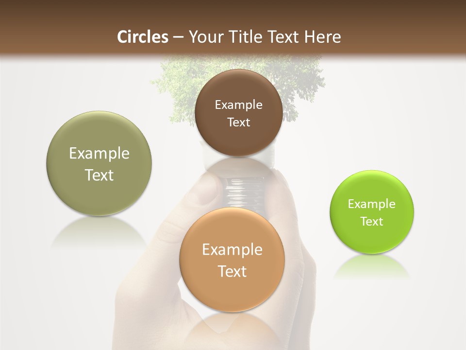 Li Ten Boardroom Company PowerPoint Template