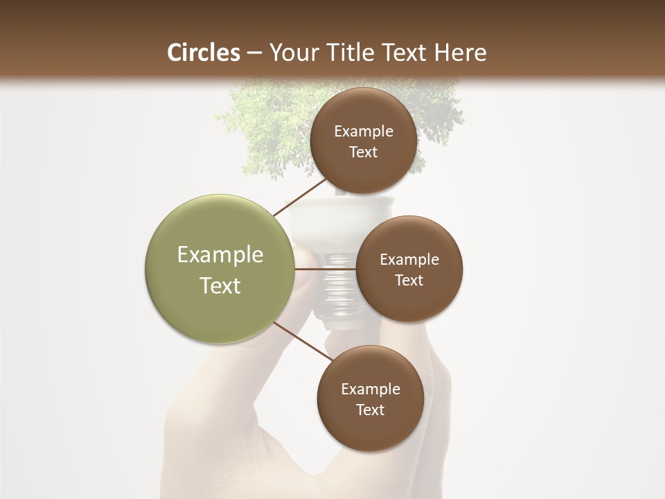 Li Ten Boardroom Company PowerPoint Template