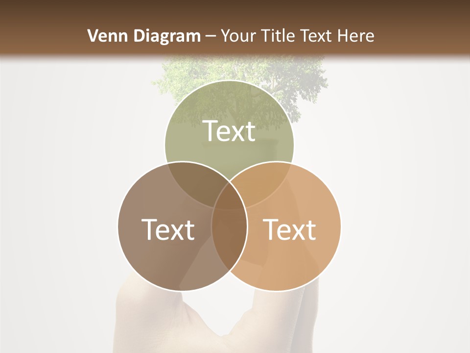 Li Ten Boardroom Company PowerPoint Template