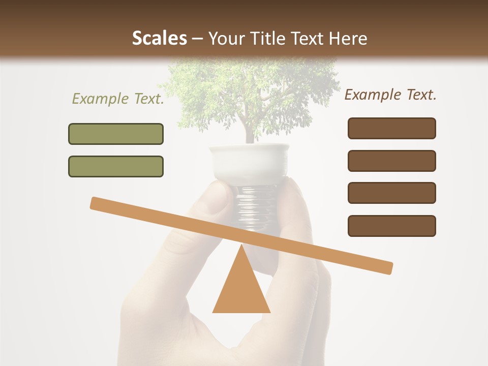 Li Ten Boardroom Company PowerPoint Template