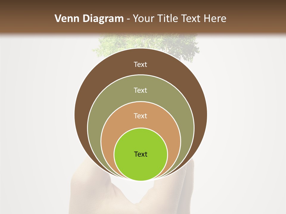 Li Ten Boardroom Company PowerPoint Template
