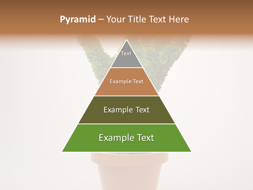 Green Sign Growing PowerPoint Template