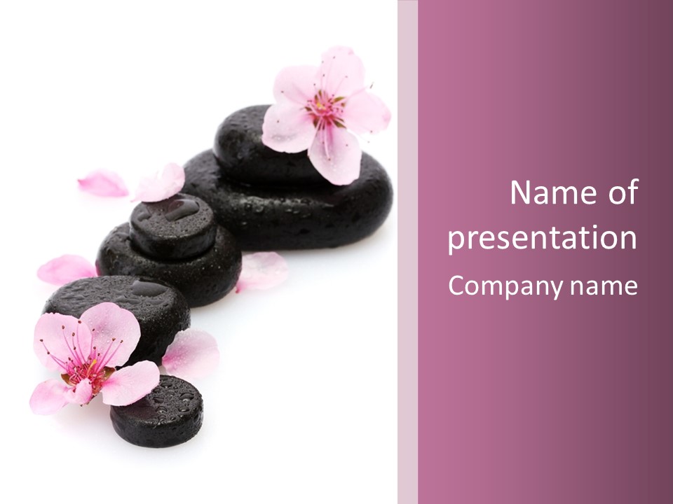 Chinese Rock Water PowerPoint Template