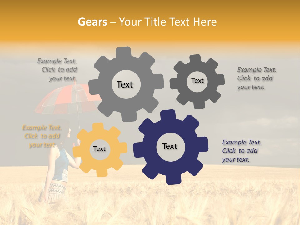 Wheat Ummer Female PowerPoint Template