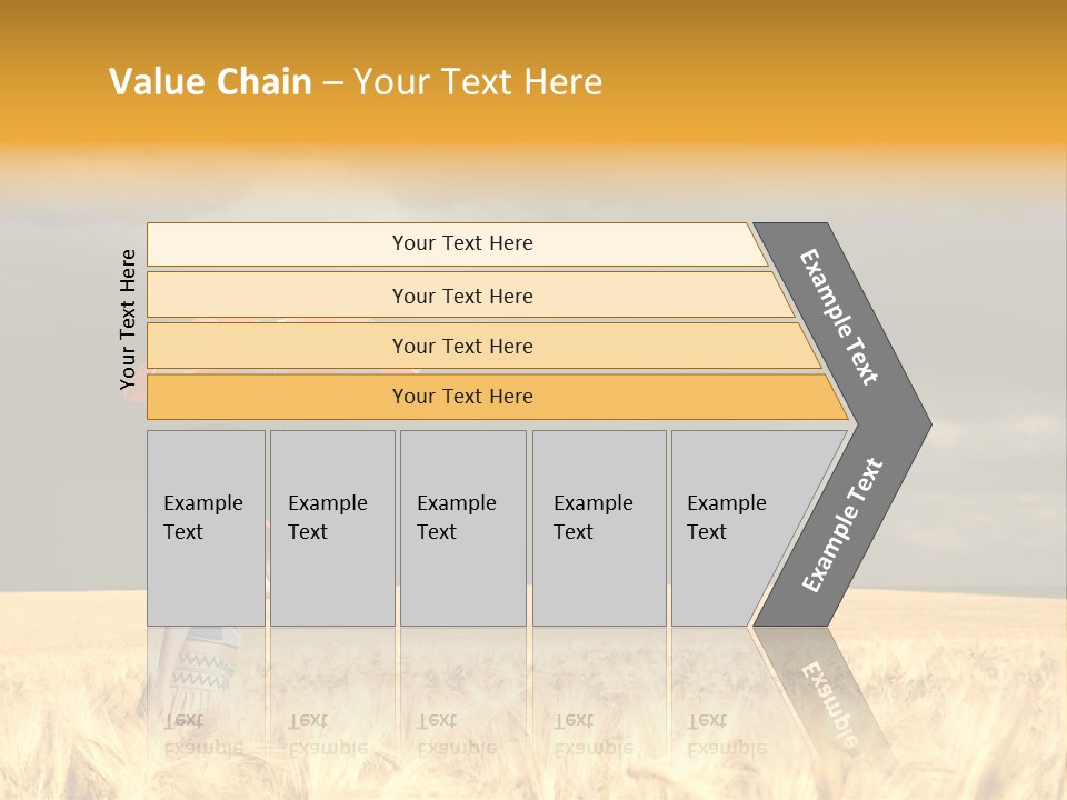 Wheat Ummer Female PowerPoint Template