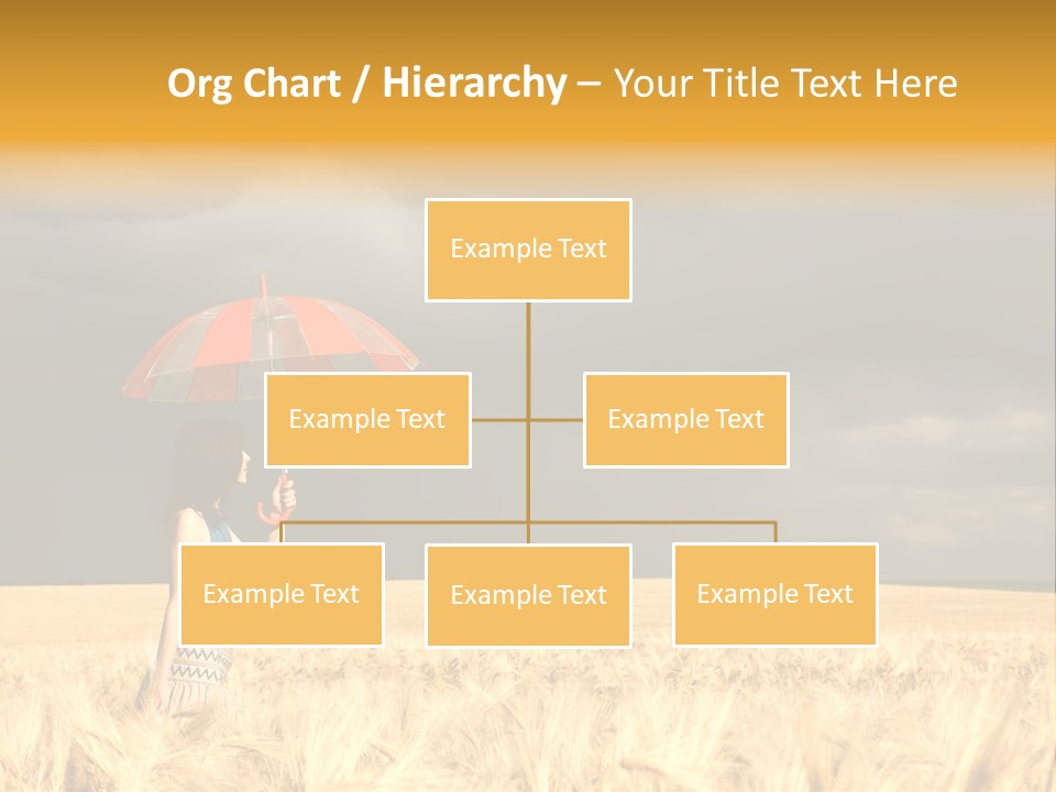 Wheat Ummer Female PowerPoint Template