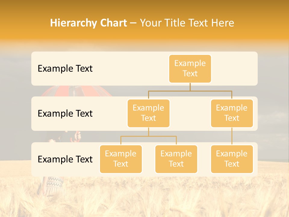 Wheat Ummer Female PowerPoint Template