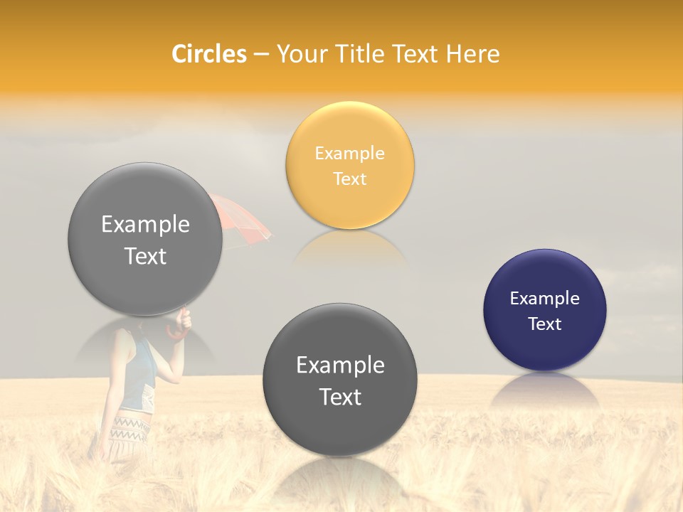 Wheat Ummer Female PowerPoint Template