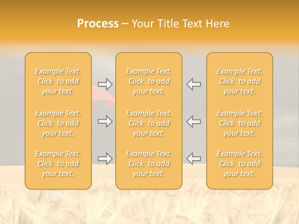 Wheat Ummer Female PowerPoint Template
