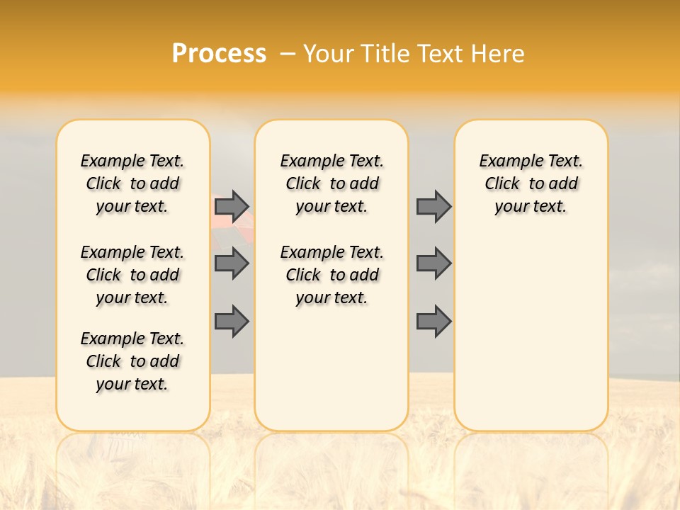 Wheat Ummer Female PowerPoint Template
