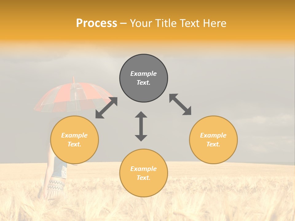 Wheat Ummer Female PowerPoint Template