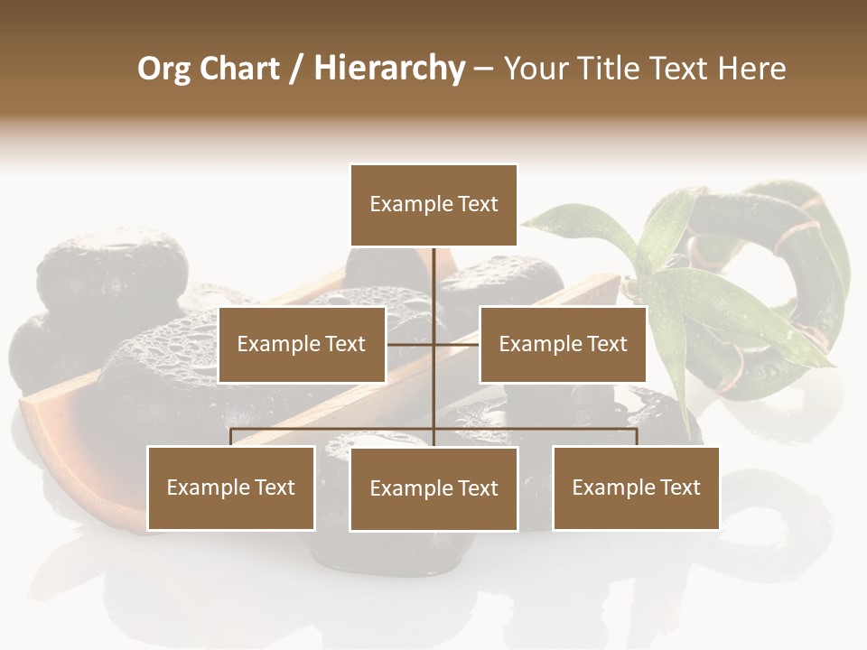 Element Surface Harmony PowerPoint Template