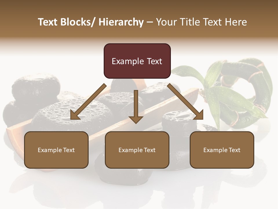 Element Surface Harmony PowerPoint Template