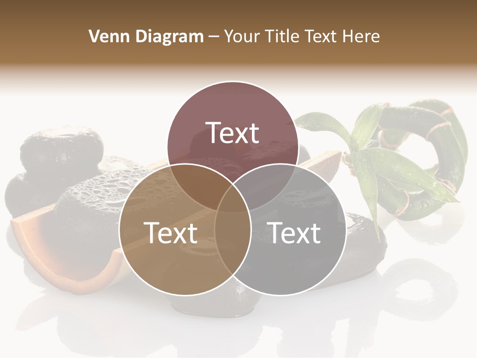 Element Surface Harmony PowerPoint Template