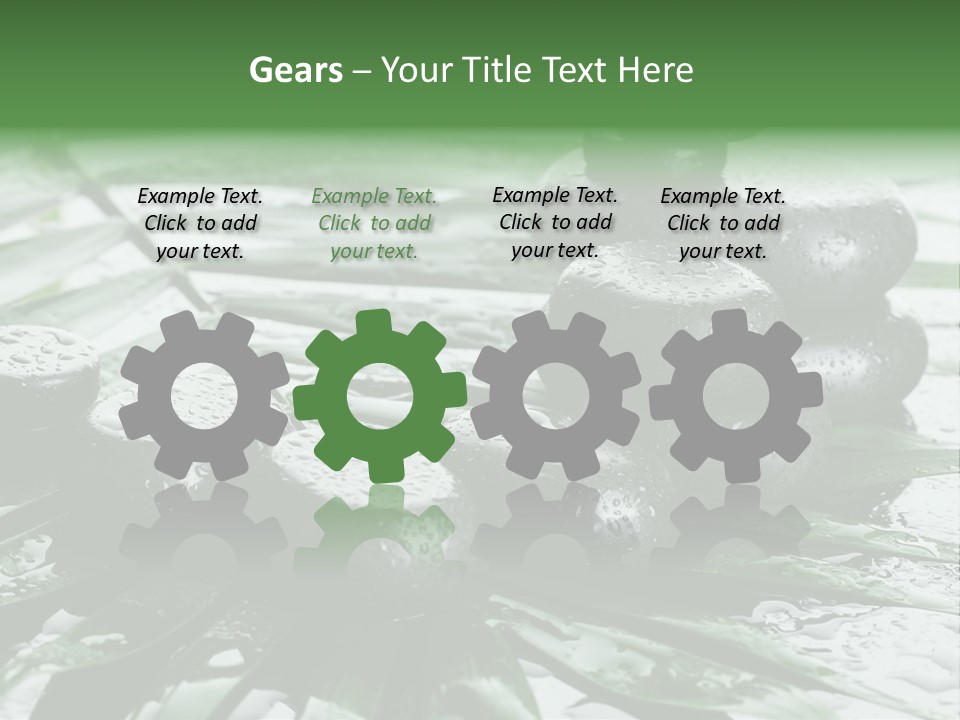 Set Balance Nature PowerPoint Template