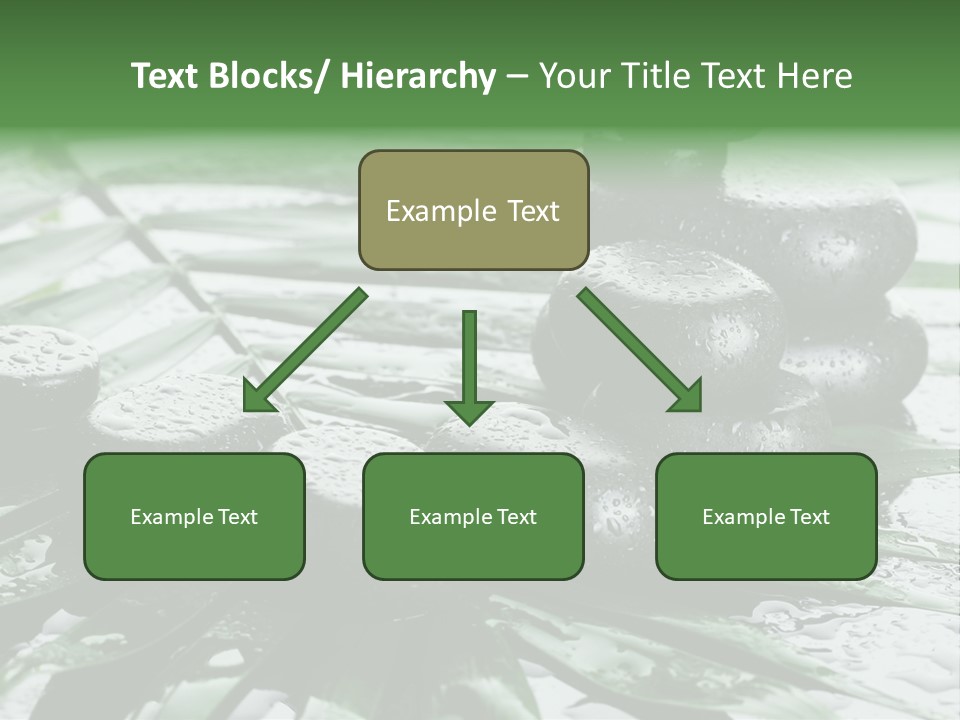 Set Balance Nature PowerPoint Template