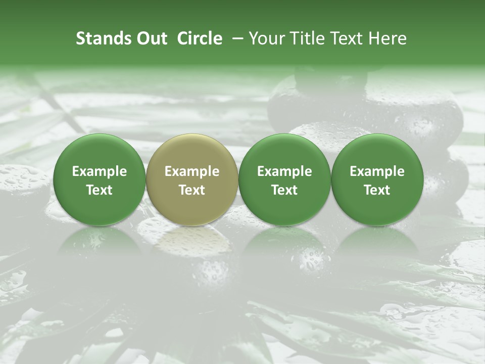 Set Balance Nature PowerPoint Template