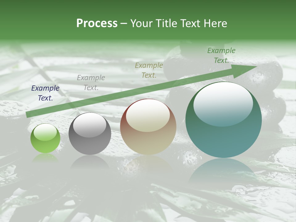 Set Balance Nature PowerPoint Template