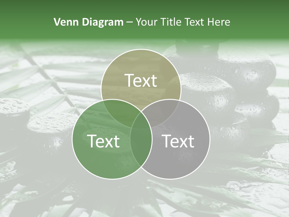 Set Balance Nature PowerPoint Template