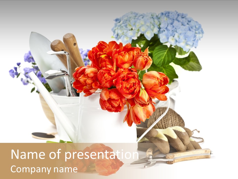 Seasonal Studio Flower PowerPoint Template