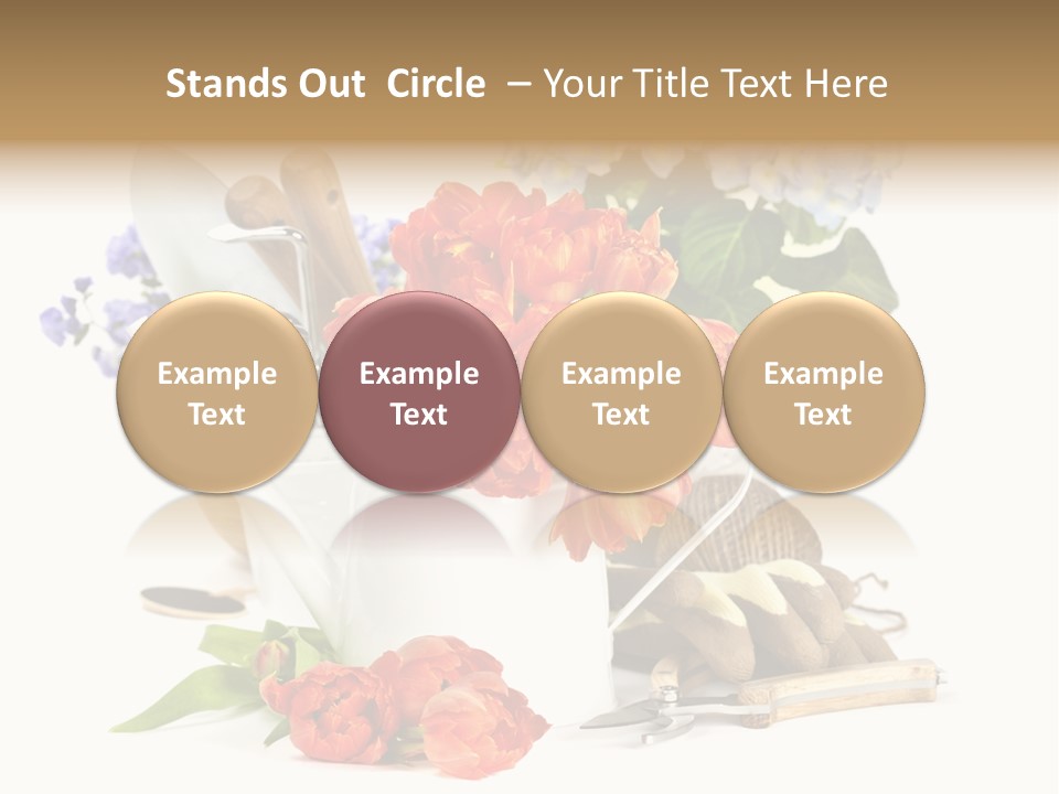 Seasonal Studio Flower PowerPoint Template