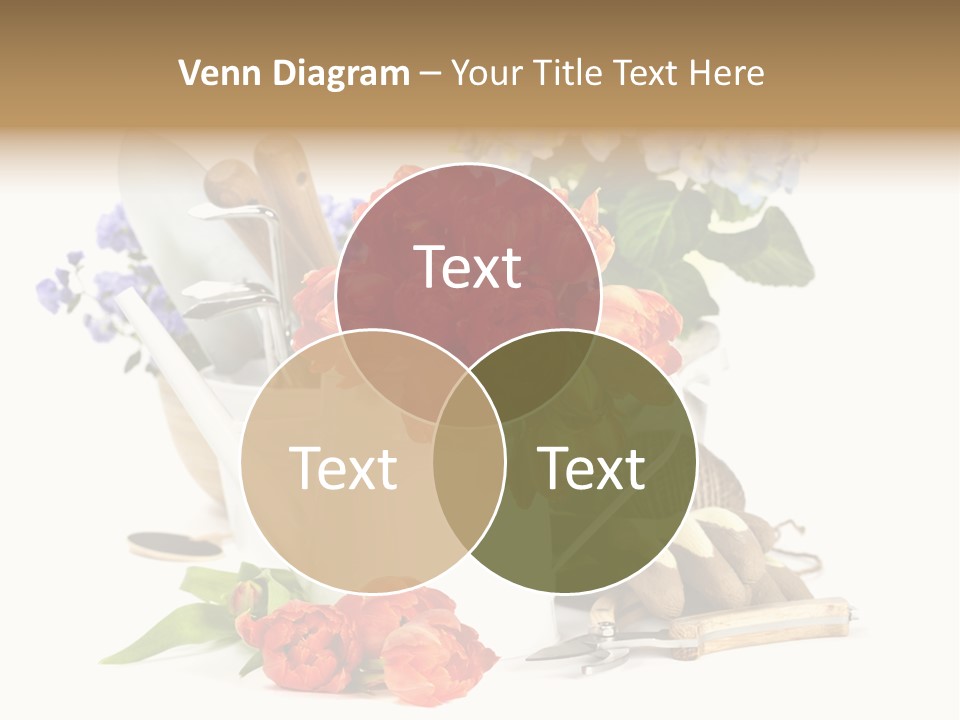 Seasonal Studio Flower PowerPoint Template