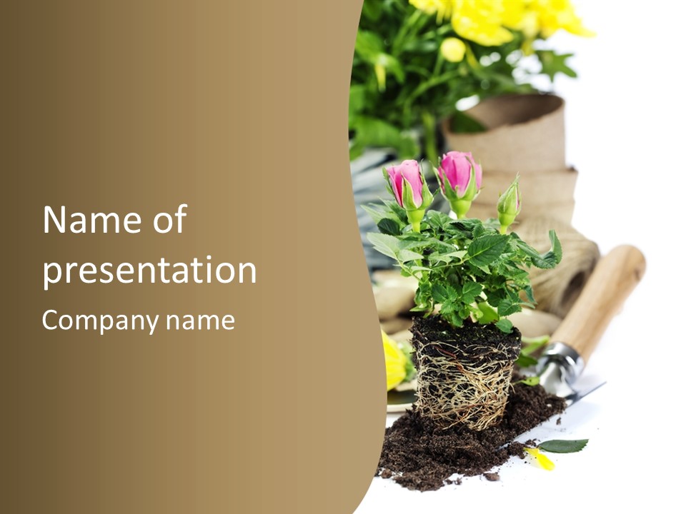 Dirt Garden Agriculture PowerPoint Template