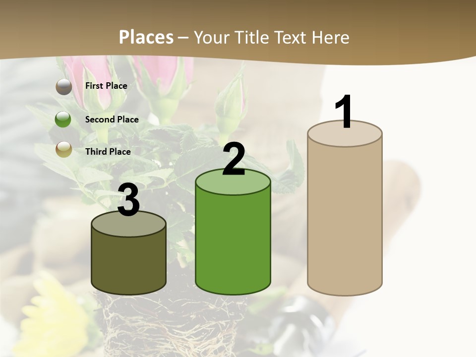 Dirt Garden Agriculture PowerPoint Template