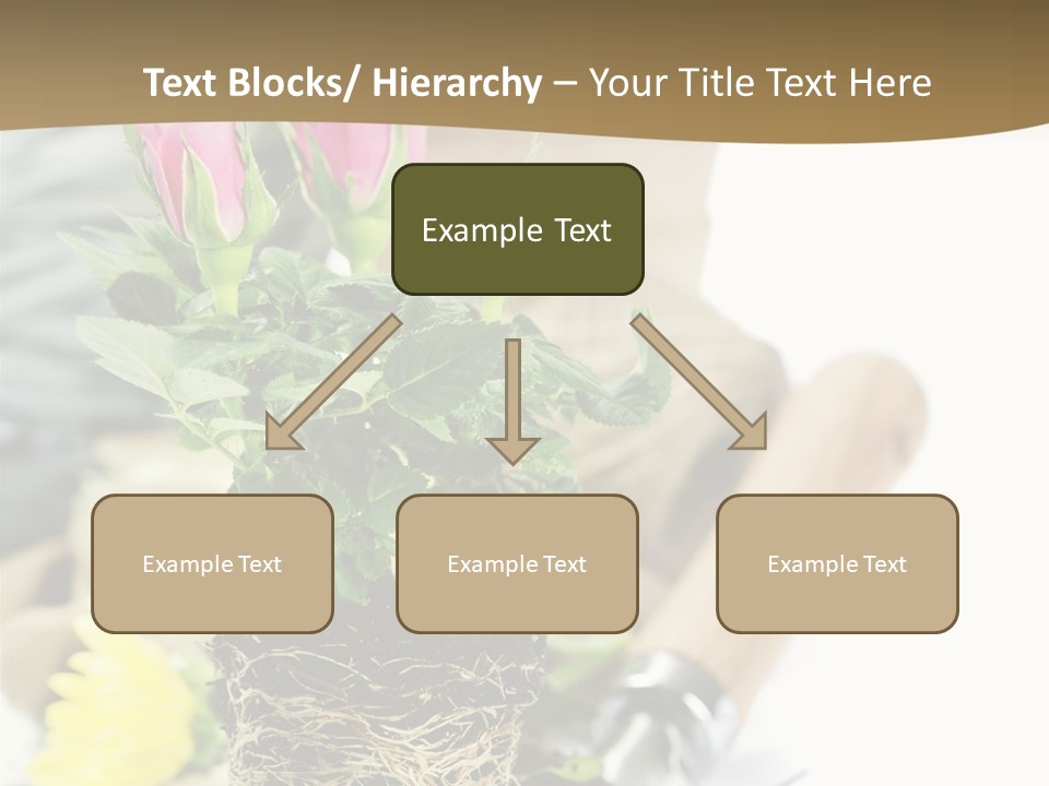 Dirt Garden Agriculture PowerPoint Template