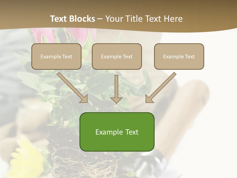 Dirt Garden Agriculture PowerPoint Template
