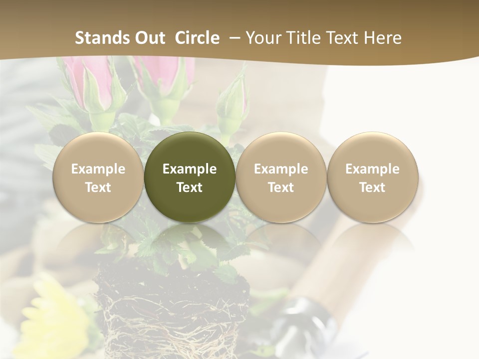 Dirt Garden Agriculture PowerPoint Template