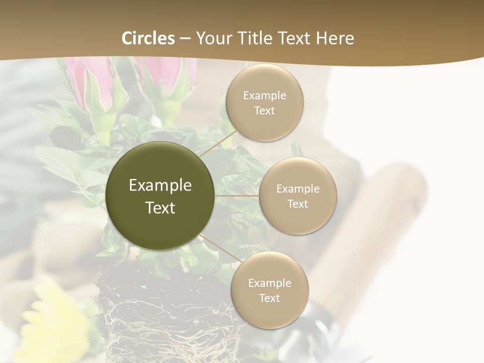 Dirt Garden Agriculture PowerPoint Template