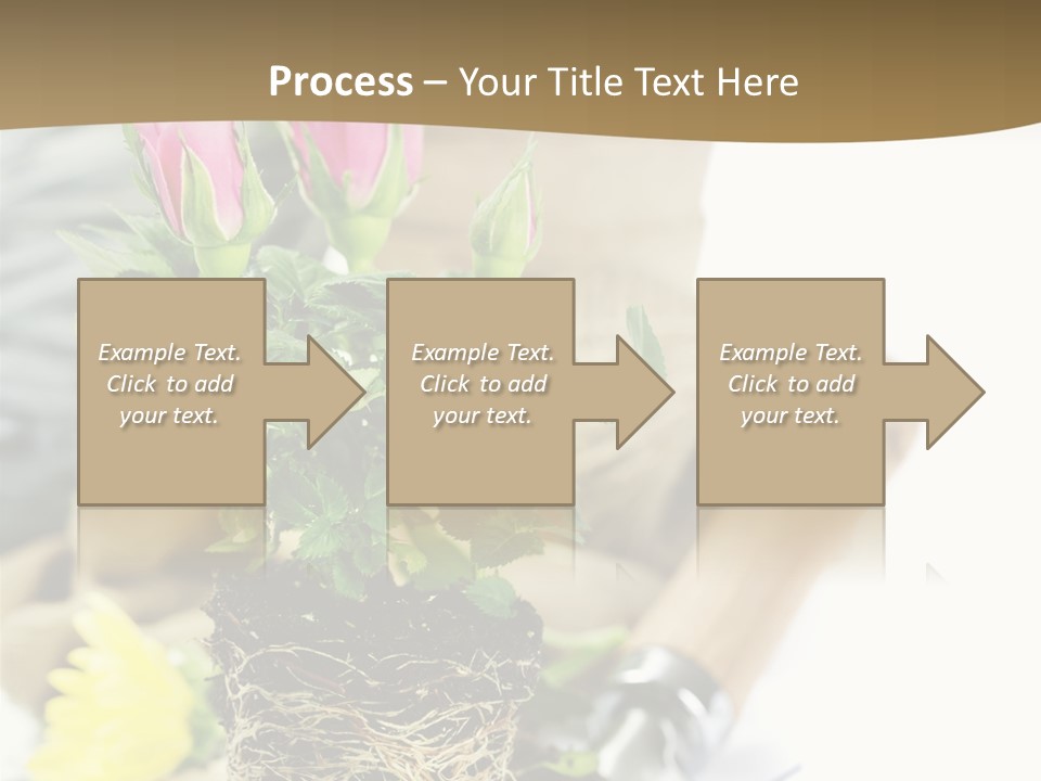 Dirt Garden Agriculture PowerPoint Template