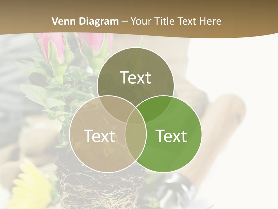 Dirt Garden Agriculture PowerPoint Template