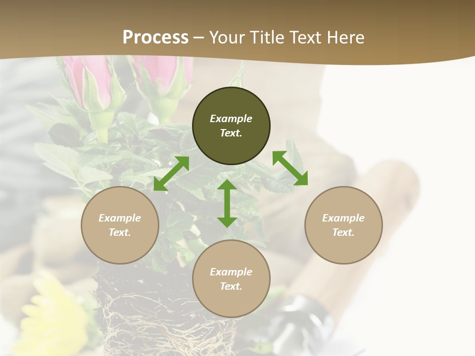 Dirt Garden Agriculture PowerPoint Template