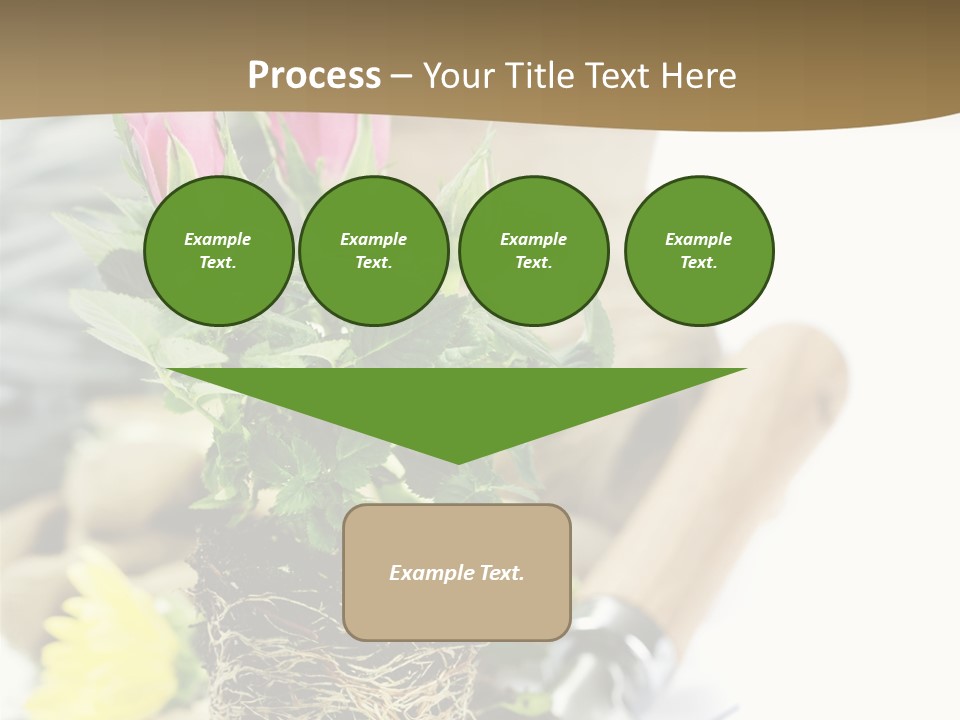 Dirt Garden Agriculture PowerPoint Template