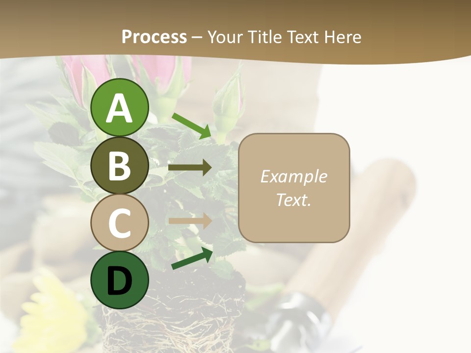 Dirt Garden Agriculture PowerPoint Template