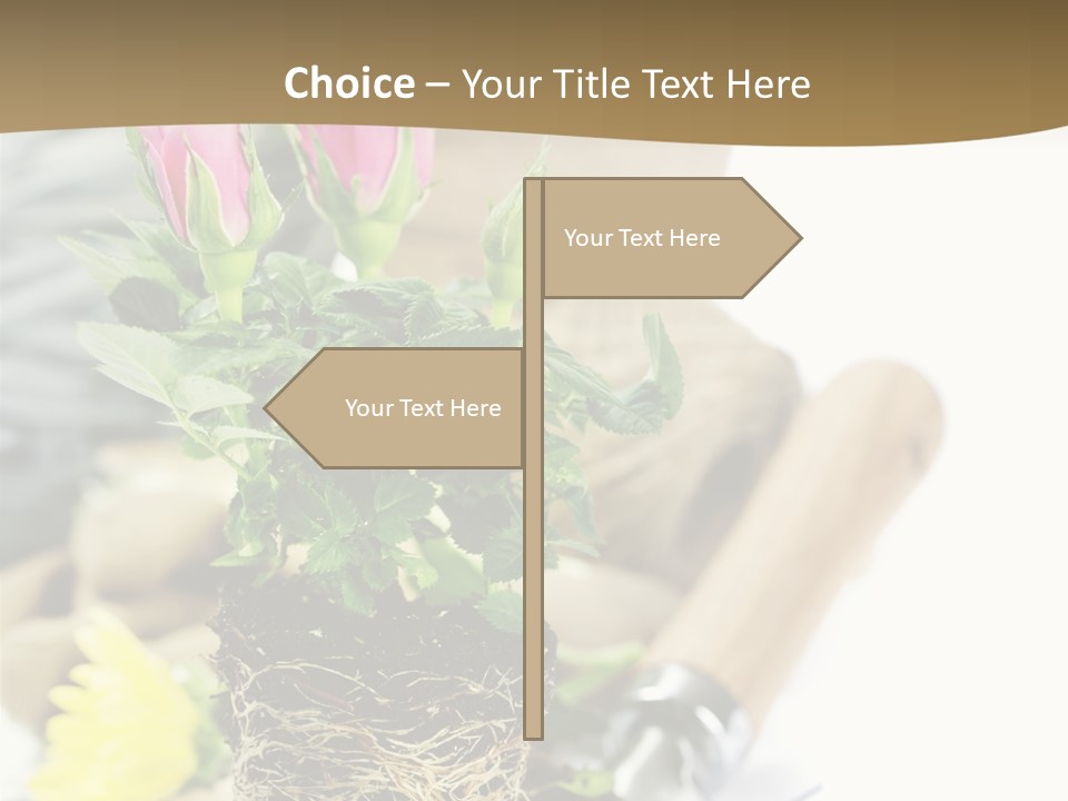 Dirt Garden Agriculture PowerPoint Template