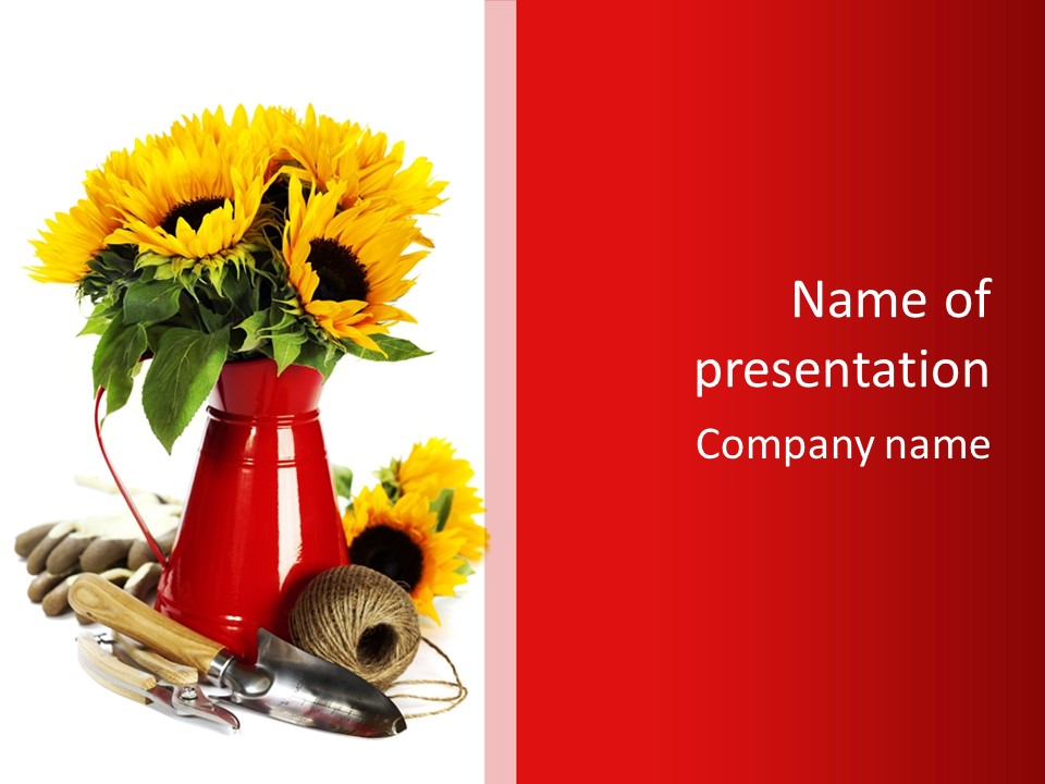 Macro Detail Color PowerPoint Template