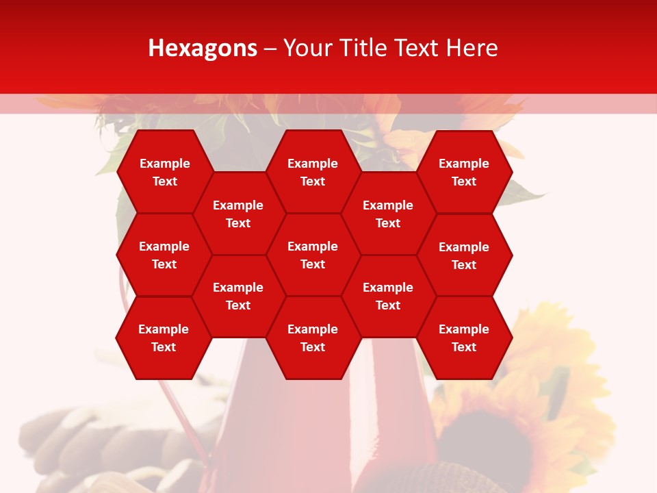 Macro Detail Color PowerPoint Template