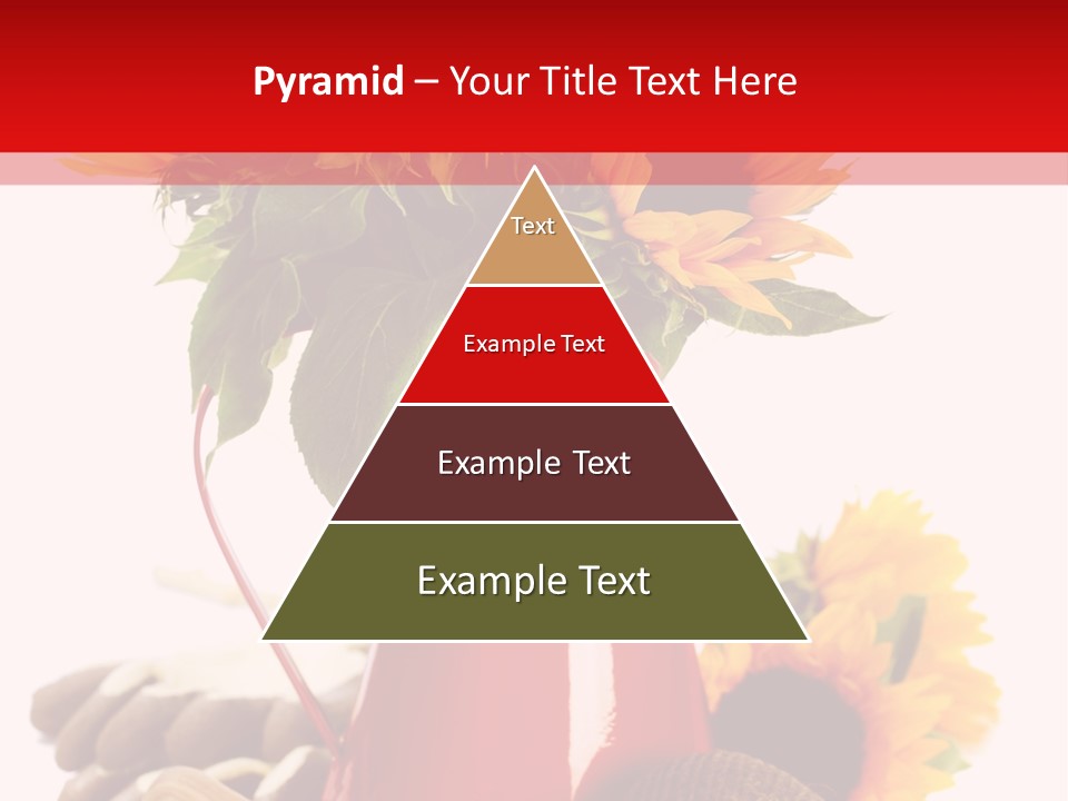 Macro Detail Color PowerPoint Template