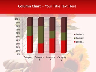 Macro Detail Color PowerPoint Template