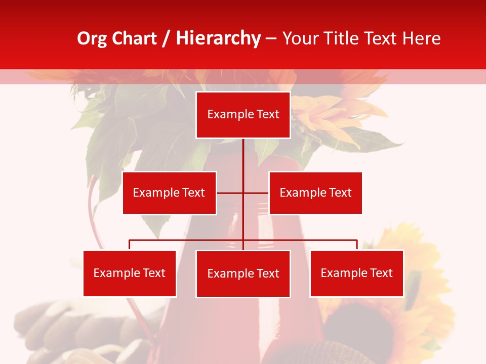 Macro Detail Color PowerPoint Template