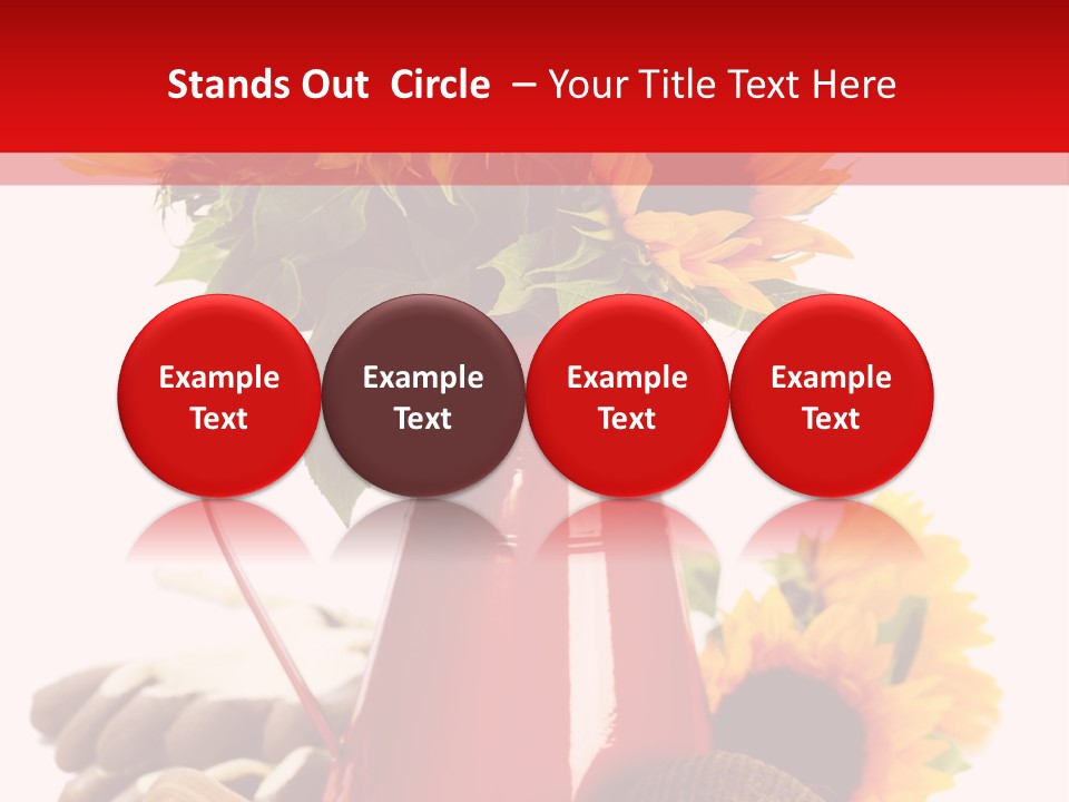 Macro Detail Color PowerPoint Template