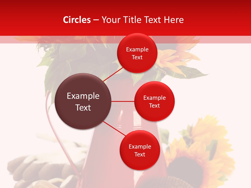 Macro Detail Color PowerPoint Template