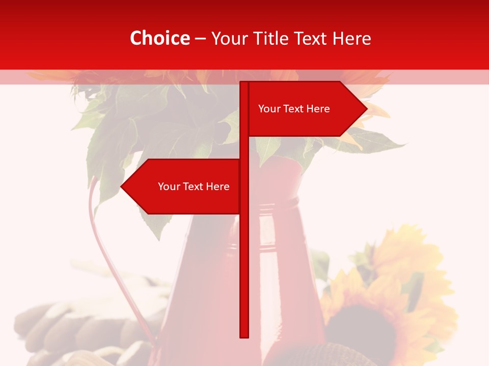 Macro Detail Color PowerPoint Template