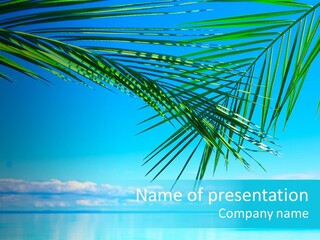 Ocean Fantasy Hawaii PowerPoint Template