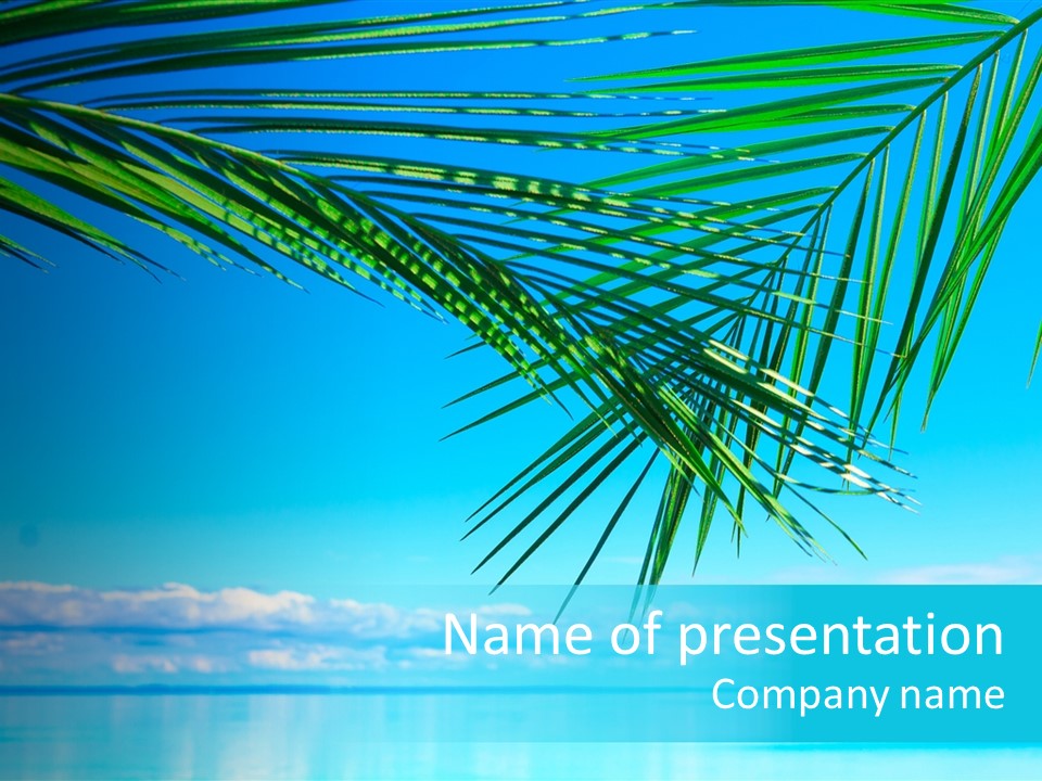 Ocean Fantasy Hawaii PowerPoint Template