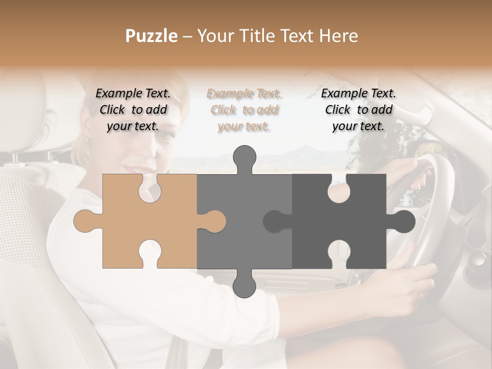 Salon Woman Wheel PowerPoint Template