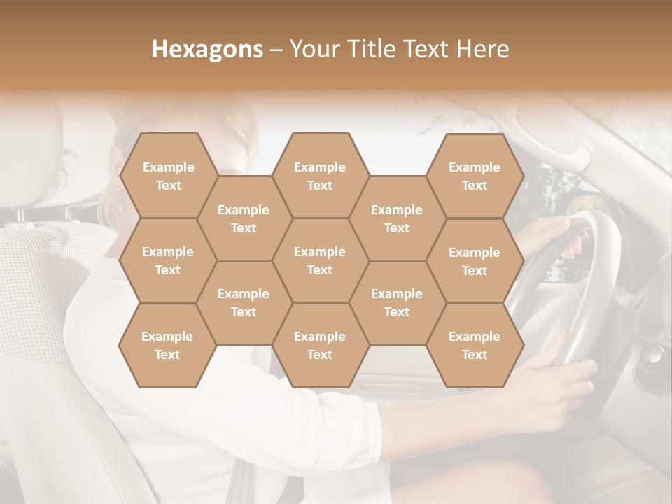 Salon Woman Wheel PowerPoint Template